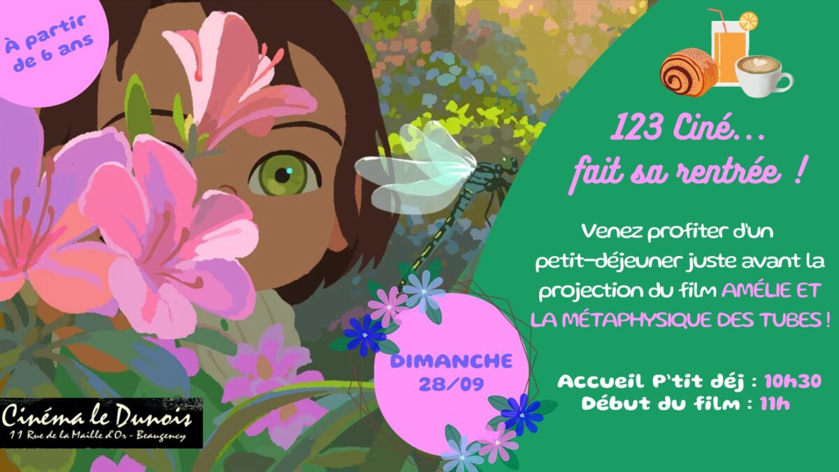 AMÉLIE ET LA MÉTAPHYSIQUE DES TUBES